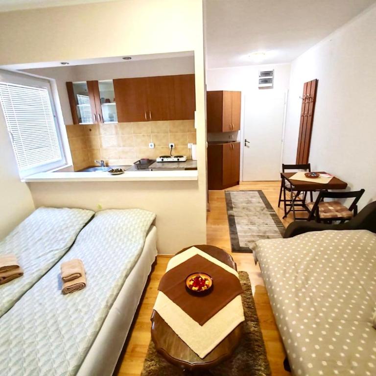 Banjski cvet - Apartman sa 1 Spavaćom Sobom - 10