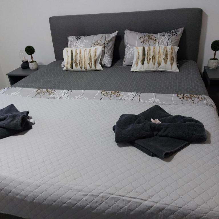 MAFI AS APARTMAN - Apartman sa 2 Spavaće Sobe i Pogledom na Planinu - 19