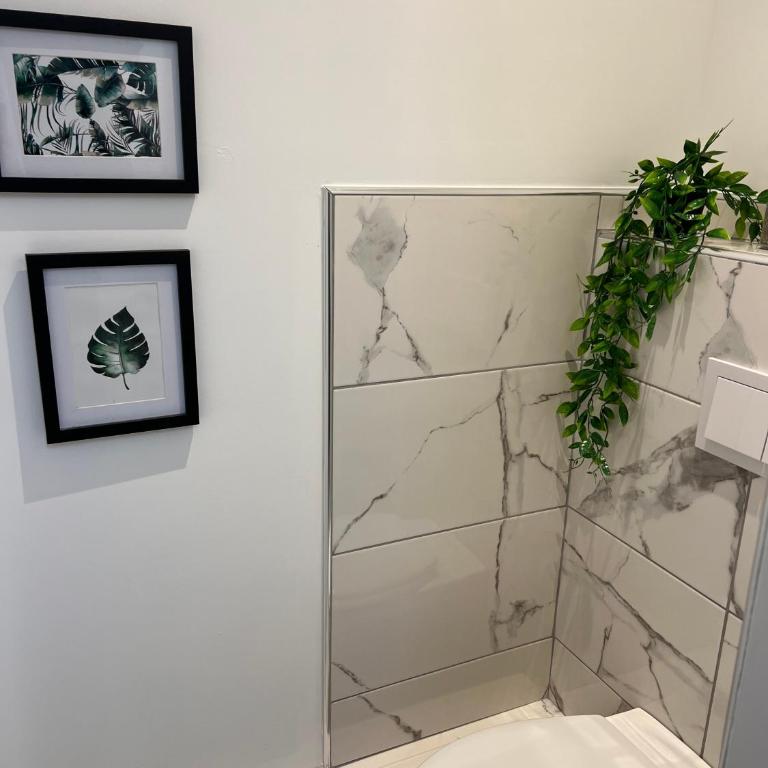 L'Ecrin Sainte Cécile 1- Elegance, Espace et jardin partagé - Appartement 1 Chambre - 7