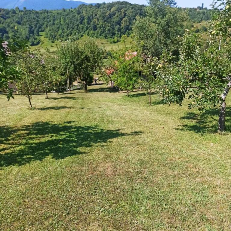 Retro Retreat Izačić - Three-Bedroom Apartment - 23