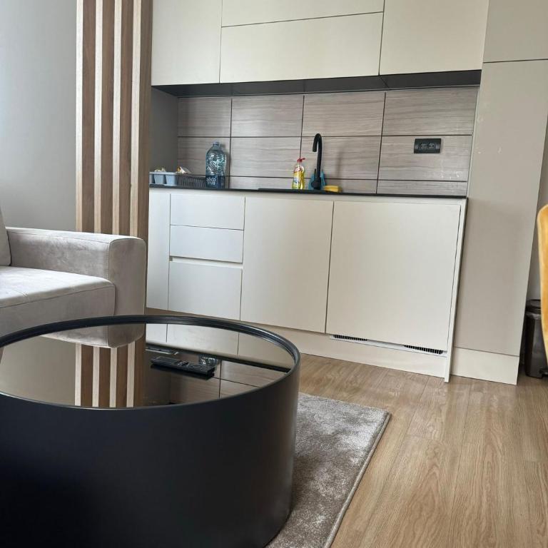 Apartman Berg Kopaonik - One-Bedroom Apartment - 11