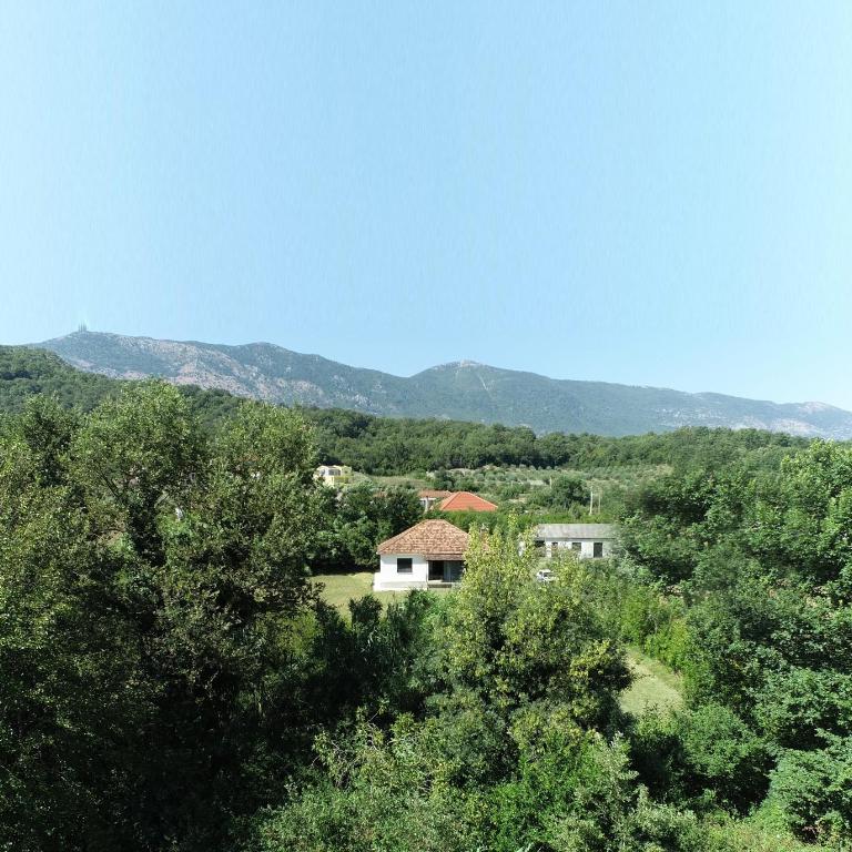 Casa L - Vila sa Pogledom na Vrt - 66