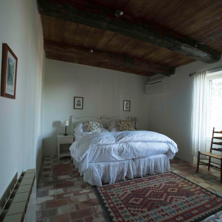 Tenuta Santo Pietro - Camera Standard Matrimoniale/Doppia con Letti Singoli - 6