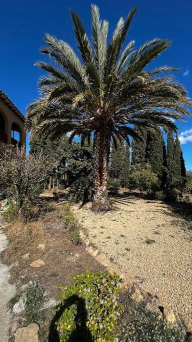 Chalet Con Piscina Privada - Apartment - 42
