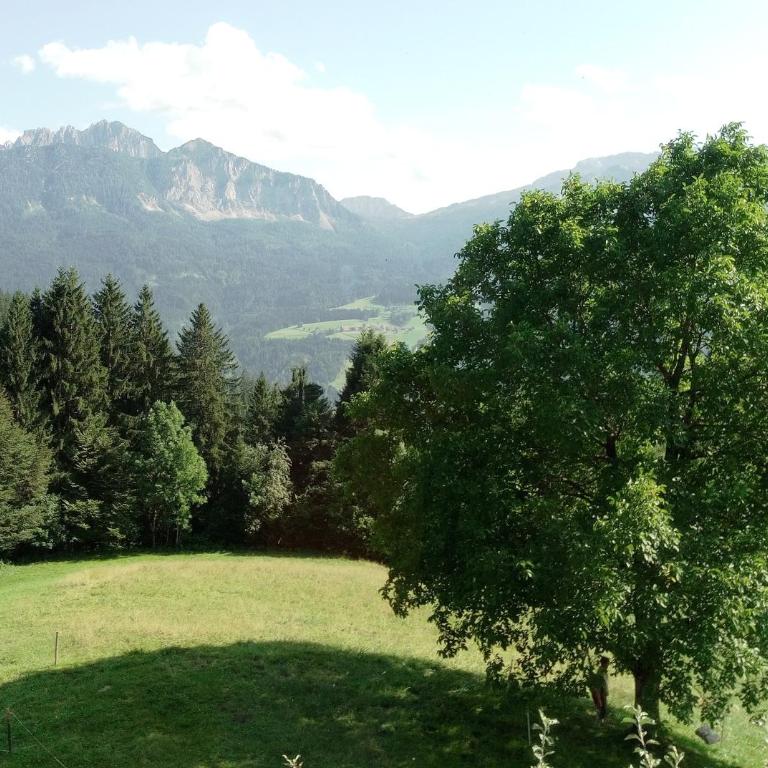 Urlaub wie früher bei Oma - Alte Schule - Ferienhaus - 20