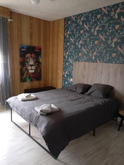 Sanctuaire Lourdes 180 M2 duplex 5 chambres 15 voyageurs 10 lits balcon - Apartment - 20
