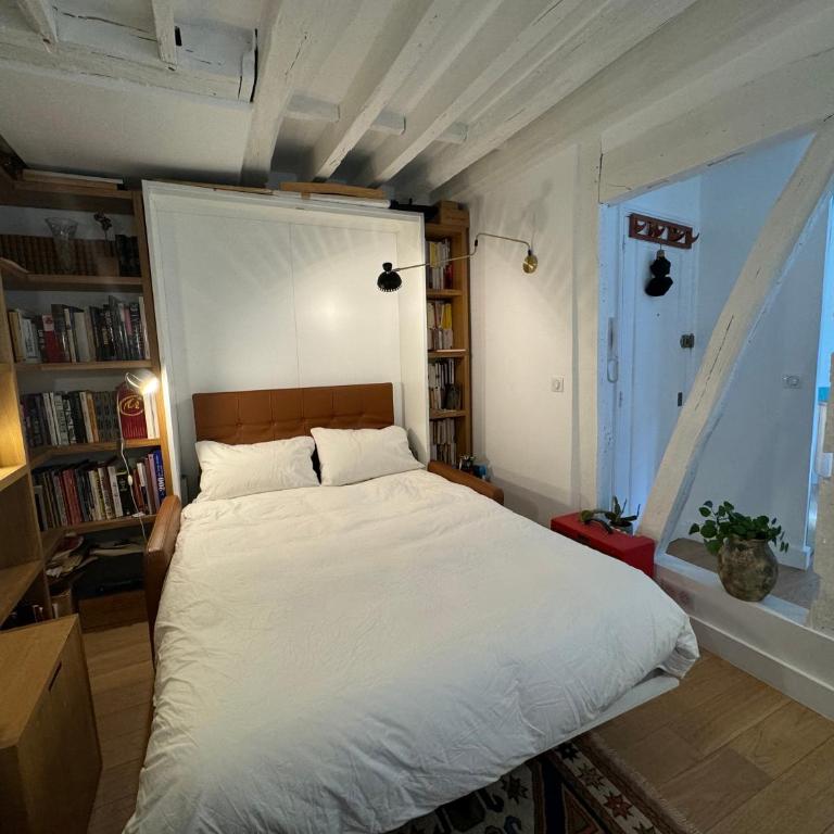 Joli studio Jardin des Plantes - Appartement 1 Chambre - 7