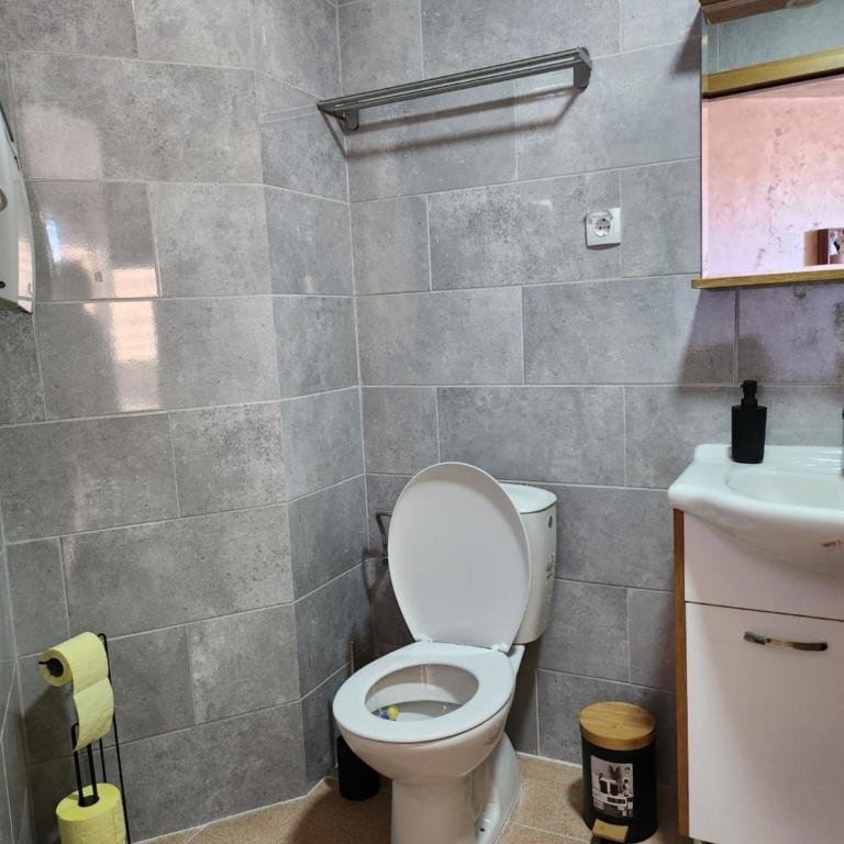 Zlatiborski Raj - Apartman sa 1 Spavaćom Sobom - 21