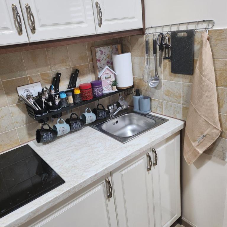 Zlatiborski Raj - Apartman sa 1 Spavaćom Sobom - 18