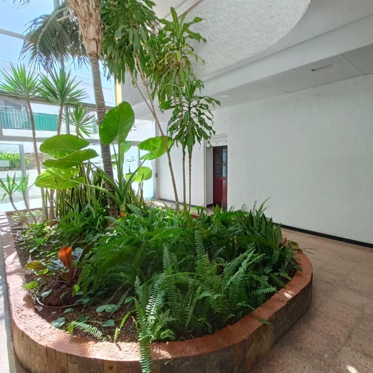 Playa del Inglés 5 min walk from Yumbo! 512 - Apartamento de 1 dormitorio - 23