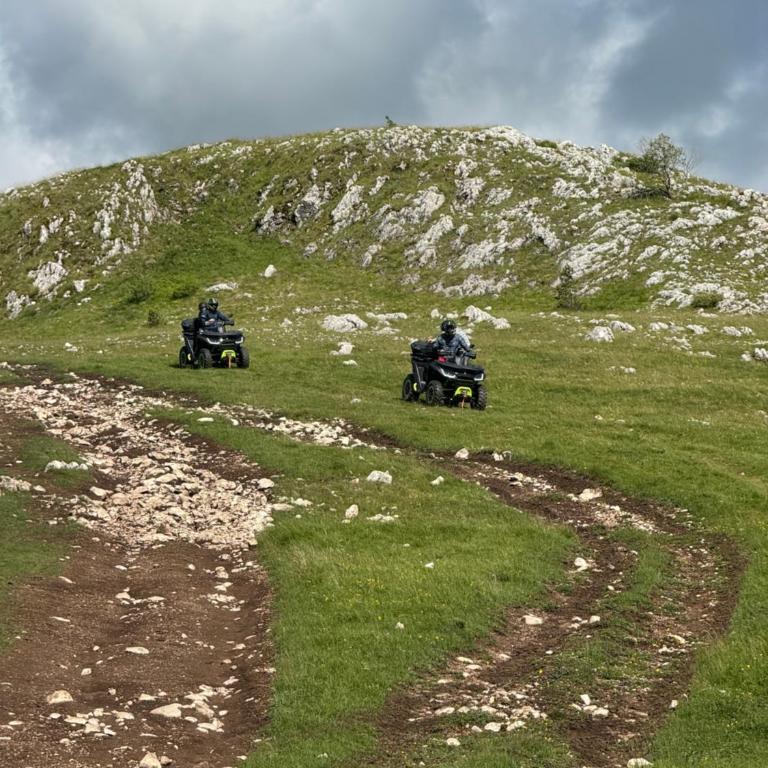 Wolf pit - One-Bedroom Apartment - 9