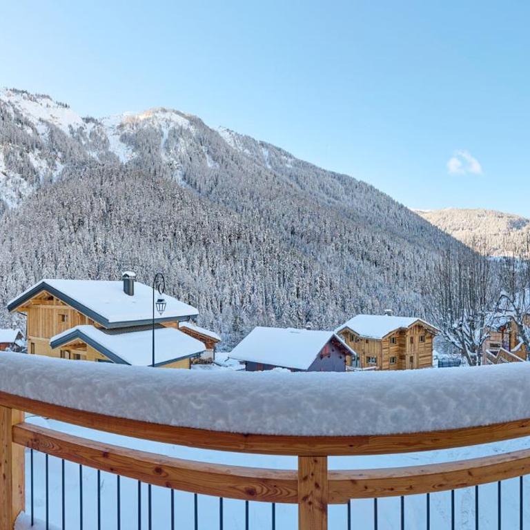 Chalet les Niverolles PARADISKI - Chalet - 6