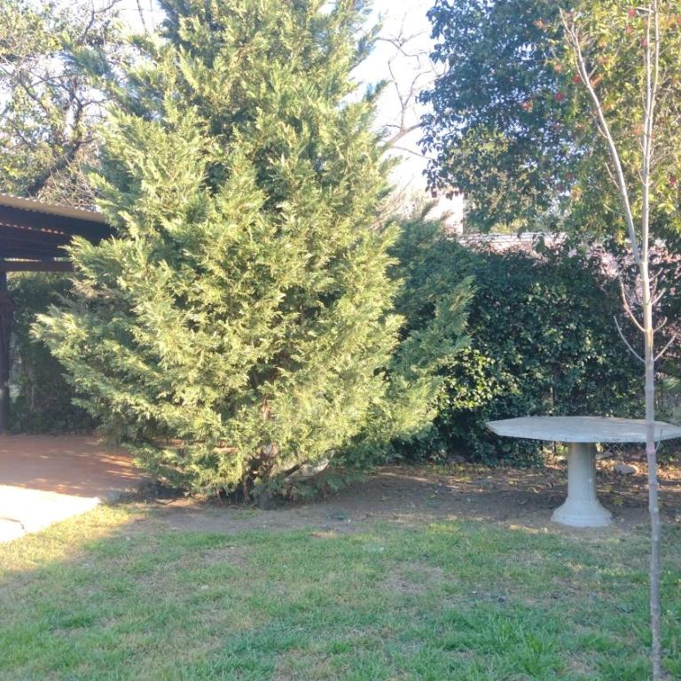 Achaval-Torre - Deluxe Bungalow with Garden View - 15