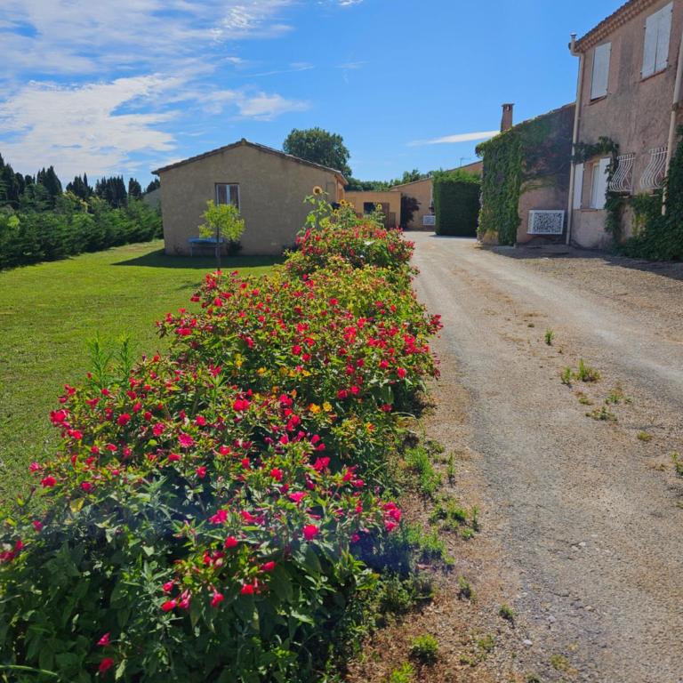 Mas Saint Jean - Casa con 2 Camere da Letto - 40