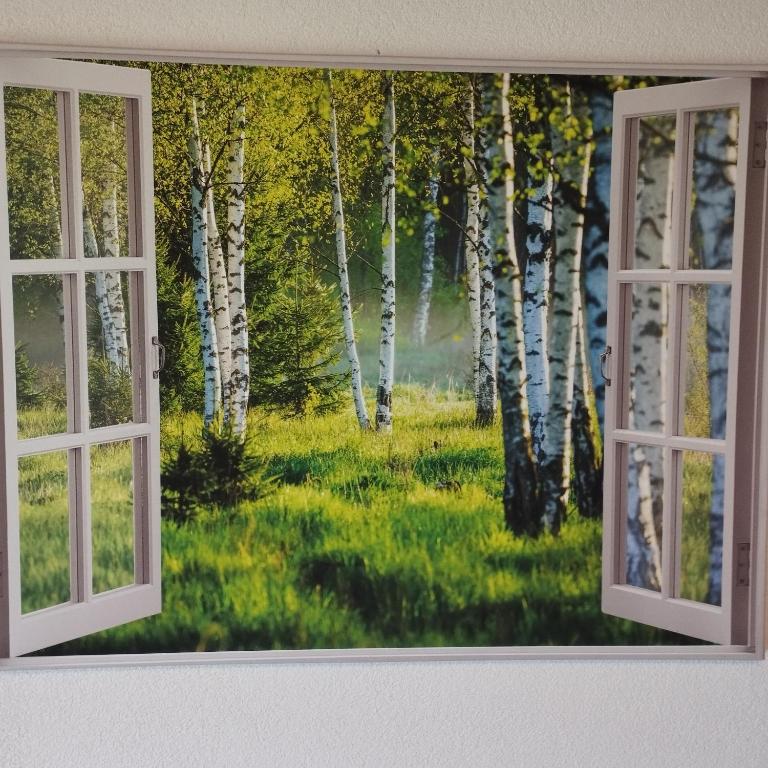 Panoramablick Line - Apartment - 13
