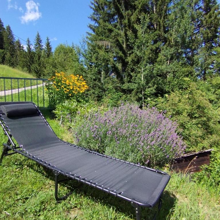 Panoramablick Line - Apartment - 33