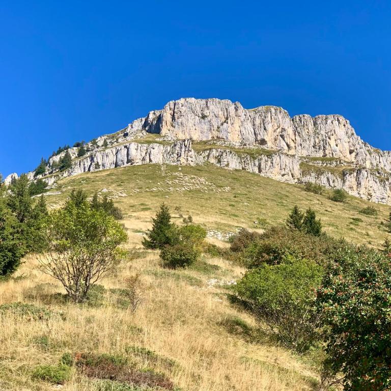 Vercors en Vert , chambres d'hôtes de charme, climatisées - Chambre Double - 54