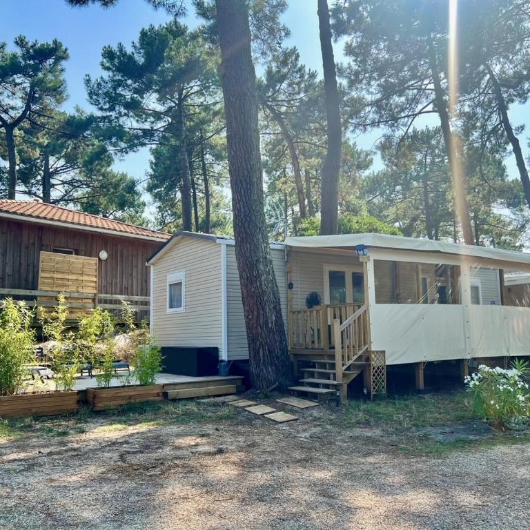 La cabane des pins - Mobile Home - 7