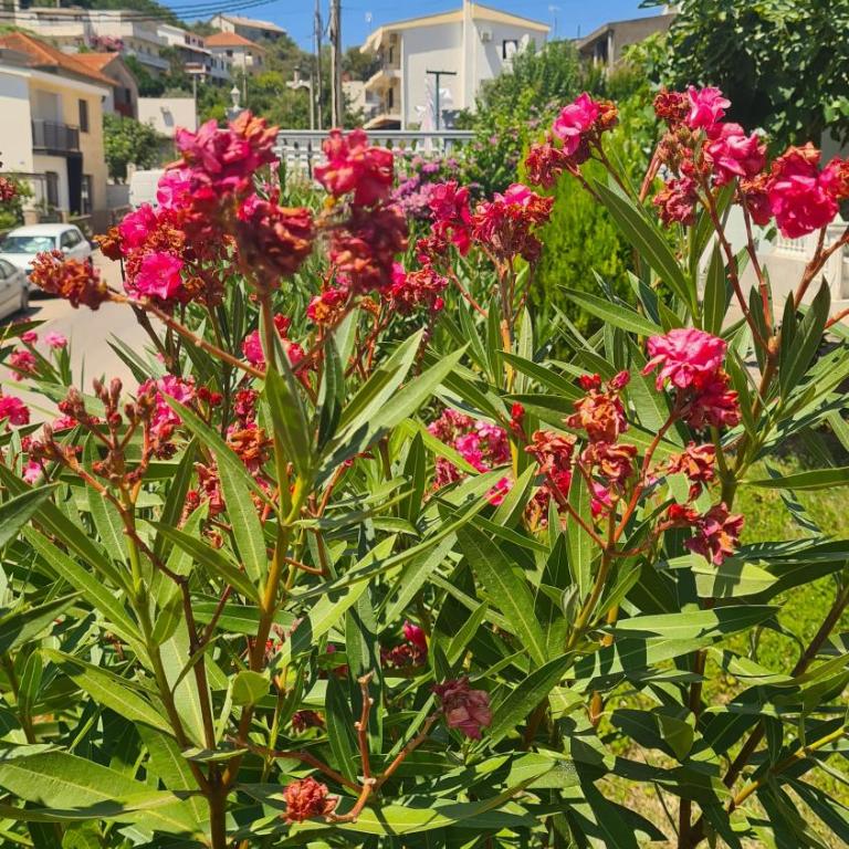 Valdanos - Apartman sa 2 Spavaće Sobe - 4