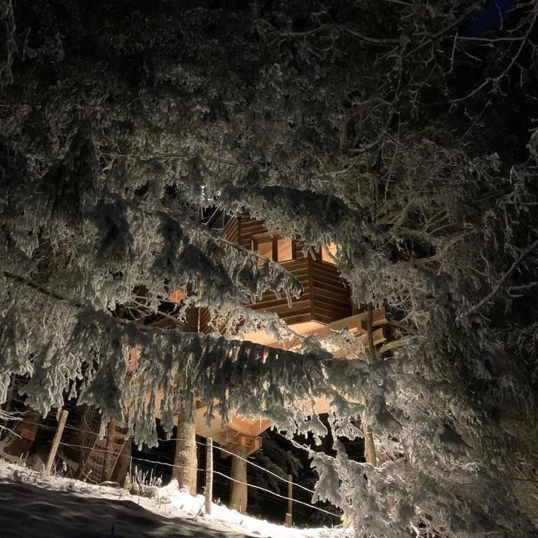Cabane dans les Arbres de Valmo'Insolite - Tenda - 11