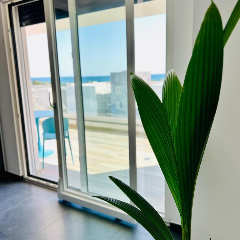 Torre Arechi Apartment - Appartamento con 1 Camera da Letto - 16