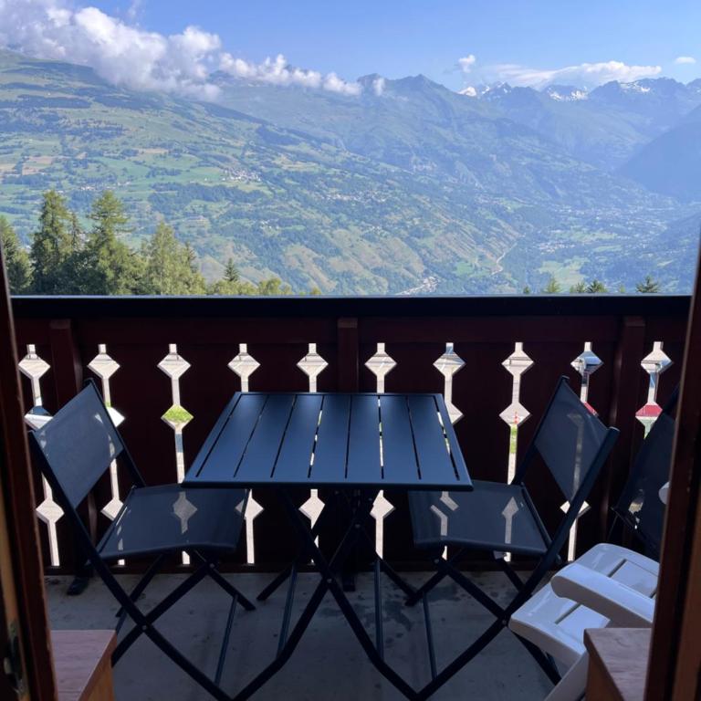 La Plagne Appartement au pied des pistes avec vue Mont Blanc - Apartment mit 1 Schlafzimmer - 22