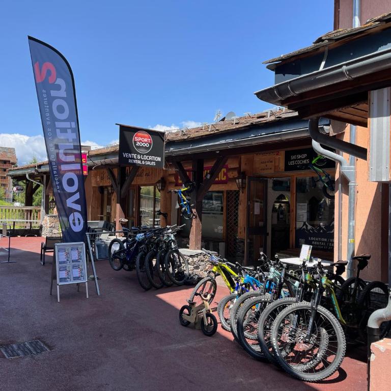 La Plagne Appartement au pied des pistes avec vue Mont Blanc - Apartment mit 1 Schlafzimmer - 37