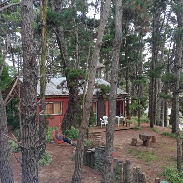 la casita del bosque - Casa de 2 dormitorios - 38