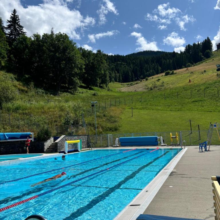 La Plagne Appartement au pied des pistes avec vue Mont Blanc - Apartment mit 1 Schlafzimmer - 41