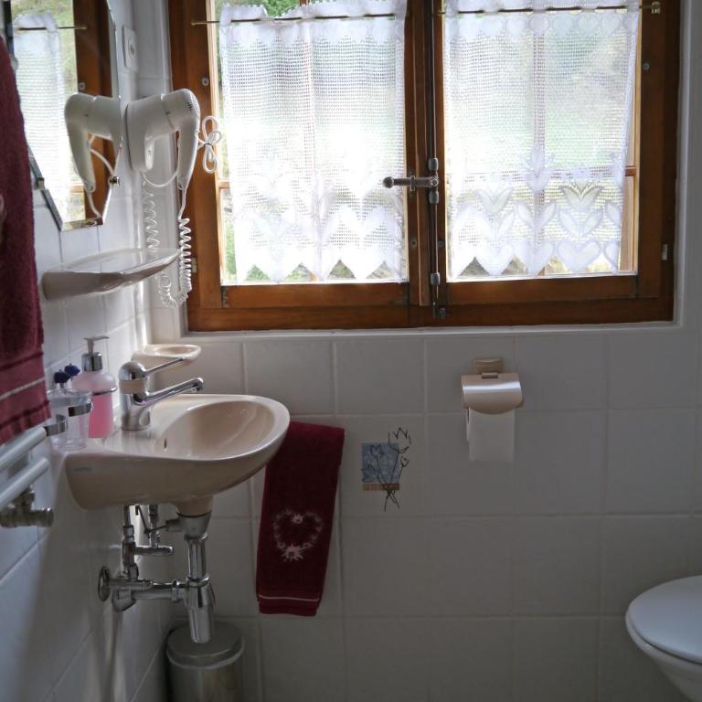 Hotel Les Mélèzes - Einzelzimmer mit eigenem Bad - 3