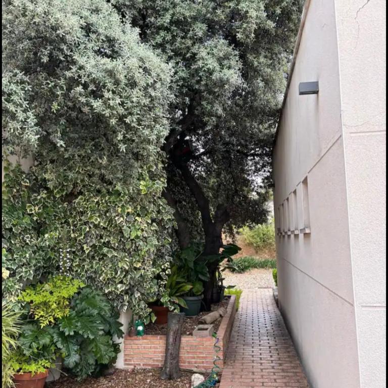 Villa Galiana - Villa - 14