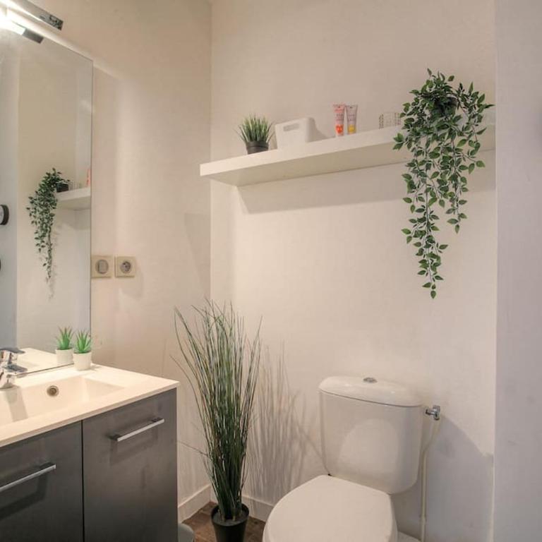 Beau studio rénové, proche gare, Lyon 3 - Appartement 1 Chambre - 4