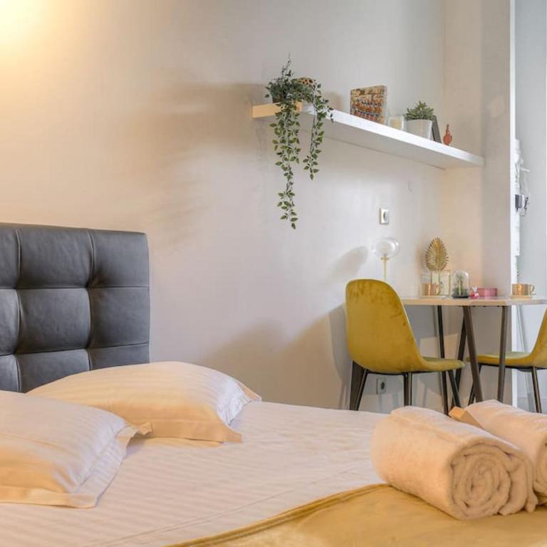 Beau studio rénové, proche gare, Lyon 3 - Appartement 1 Chambre - 12