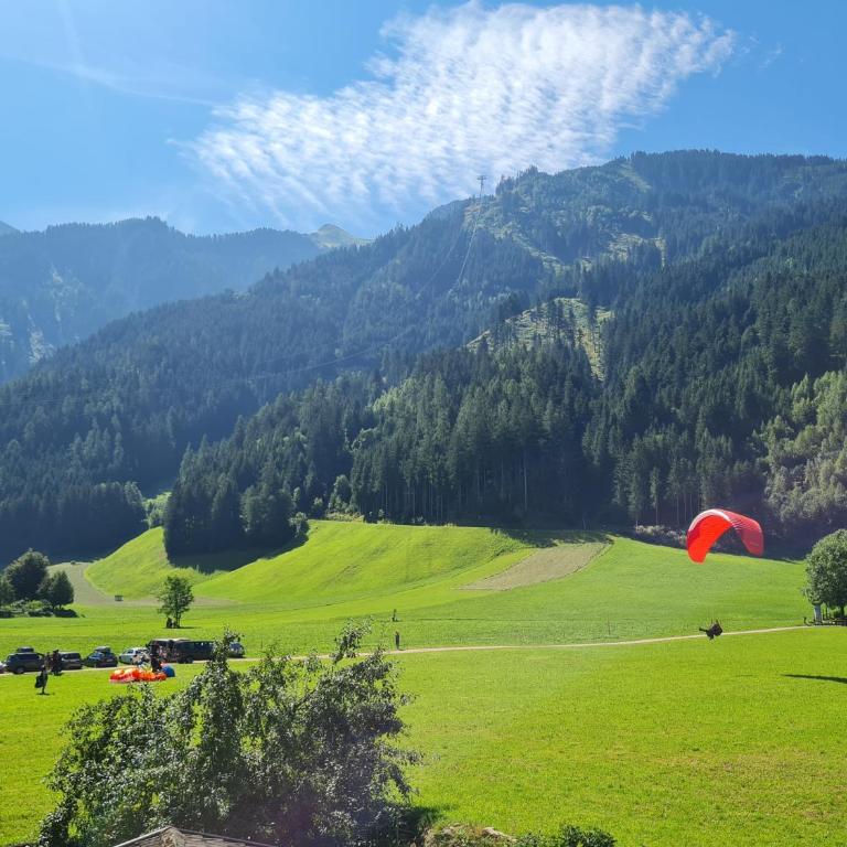 Scheulinghof - Einzelzimmer - 1