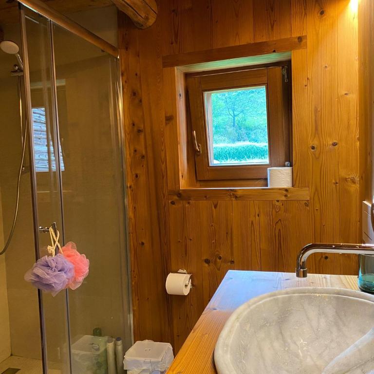 Magnificent spacious 4 bedroom mountain chalet with spa, free EV plug -in - Villa - 21