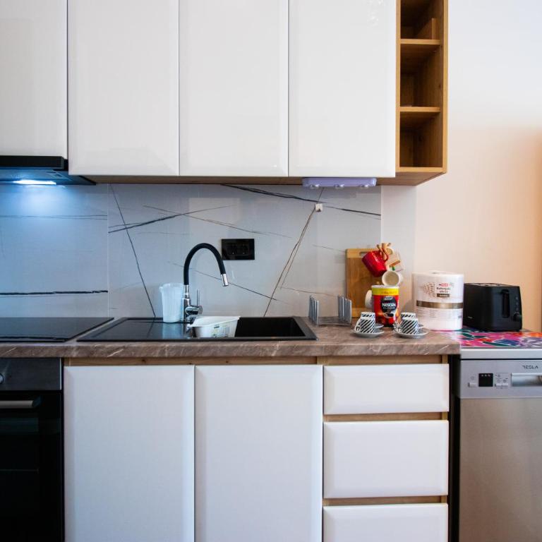 Vracar Lovely Apartment - Apartman sa 1 Spavaćom Sobom - 4