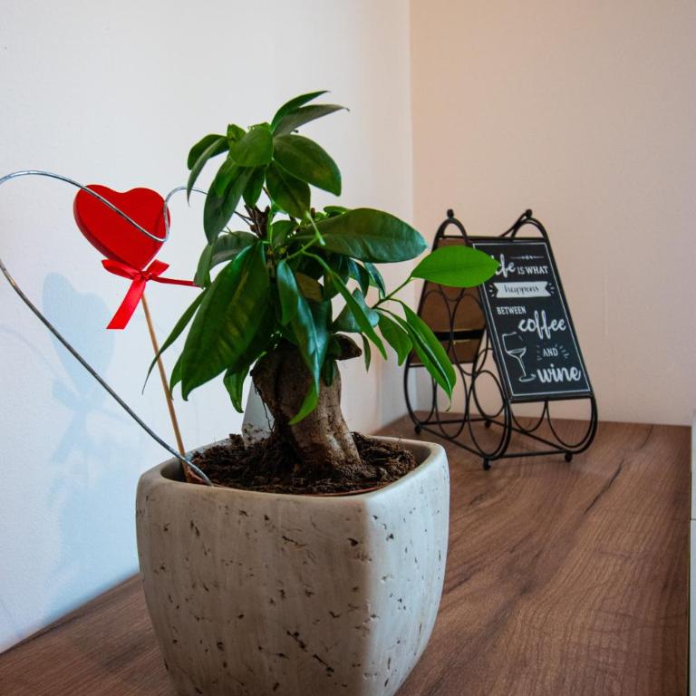 Vracar Lovely Apartment - Apartman sa 1 Spavaćom Sobom - 6