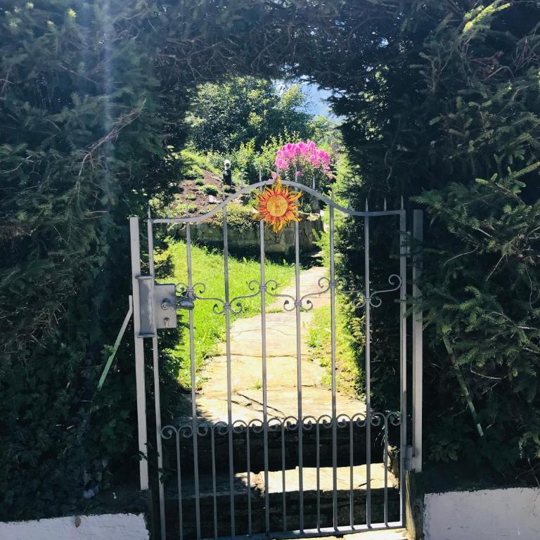 Ferienwohnung am Golfplatz - Apartamento de 1 dormitorio - 18