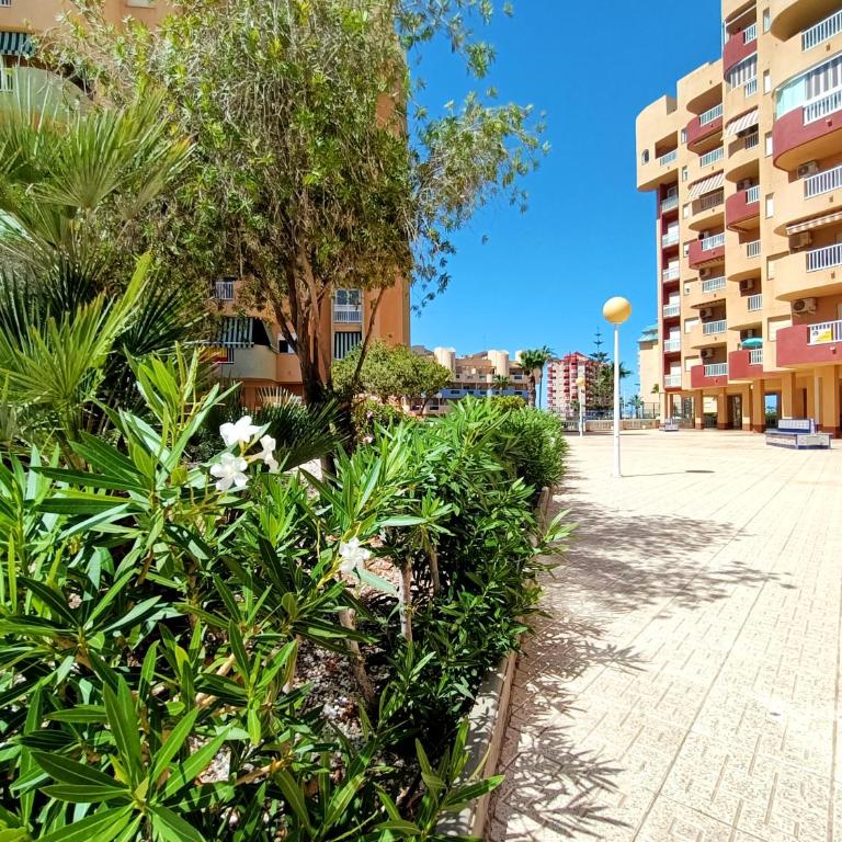 Los Miradores del Puerto - 1507 - Apartamento con vistas al mar - 39