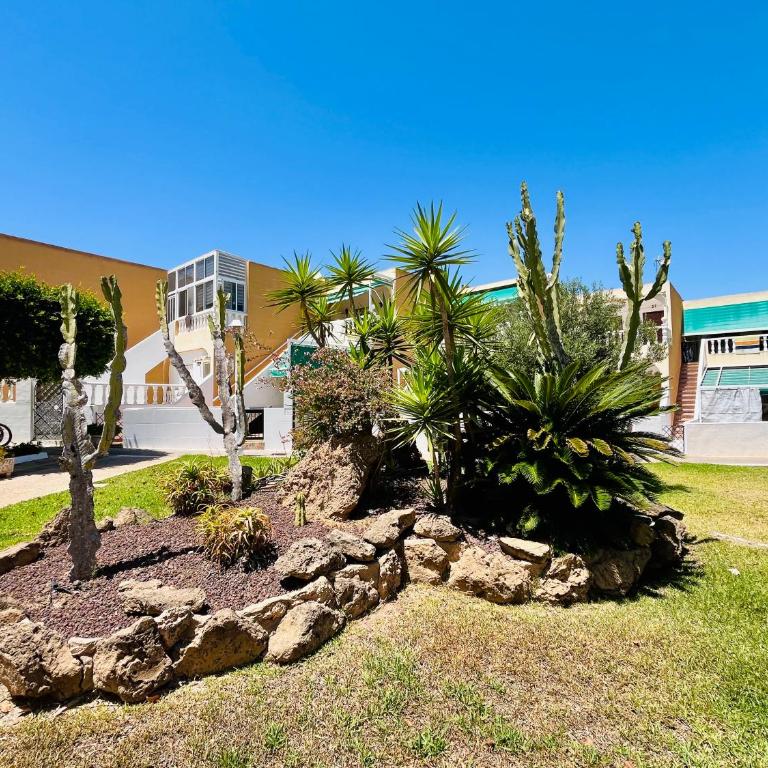 Serenity Oasis Apartment - Two-Bedroom Apartment - 20