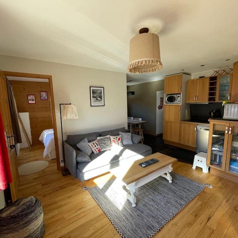 F3 de standing dans chalet en pied de pistes - Appartement 2 Chambres - 1