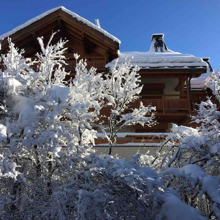 F3 de standing dans chalet en pied de pistes - Appartement 2 Chambres - 4