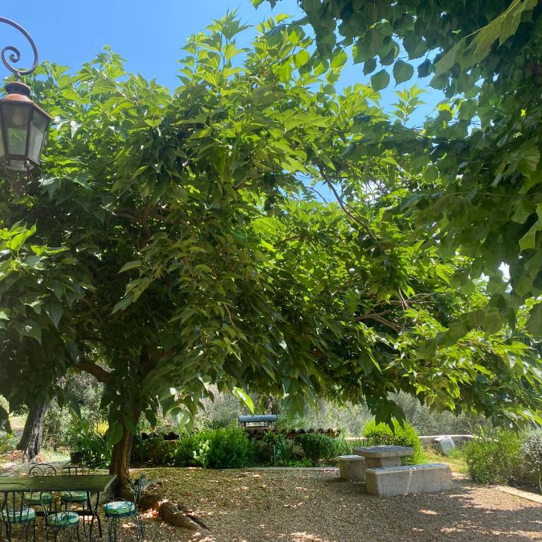 Le Mas Sainte Thérèse - Appartement 1 Chambre - 19