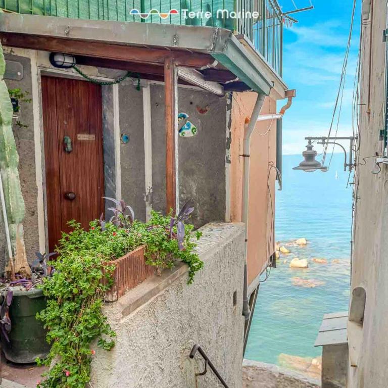 The Sea - One-Bedroom Apartment - 10