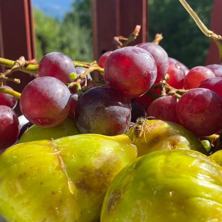 Kuća za odmor - Kuća sa 4 Spavaće Sobe - 7