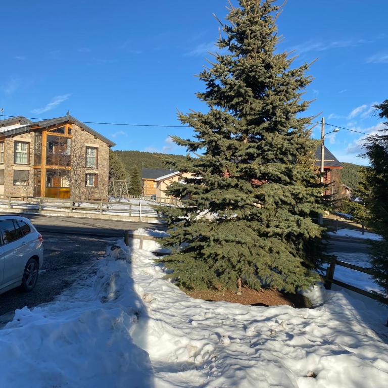Chalet Bolquère Pyrénées 2000 à la location pour 6 personnes - Chalet 3 Chambres - 12