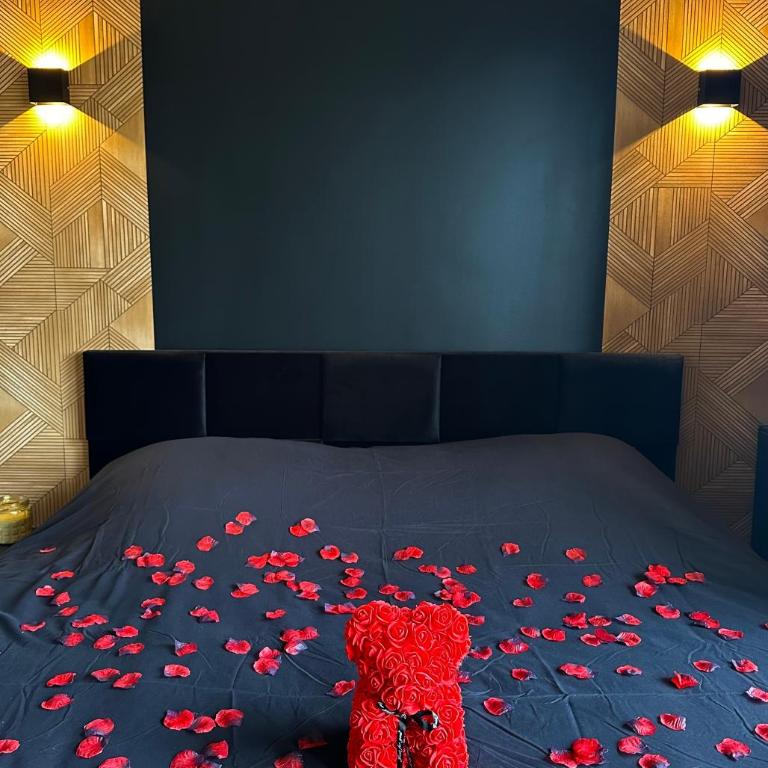 Le Temple - Love Room au coeur des remparts - Appartement 1 Chambre - 14