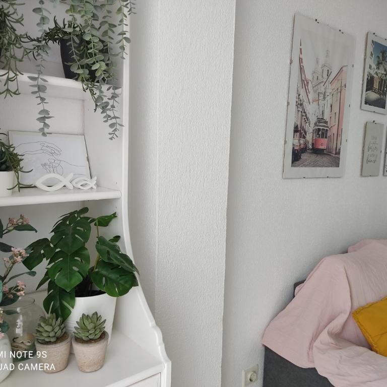 Piso de tres dormitorios en Barbate, Cádiz - Apartamento de 3 dormitorios - 29