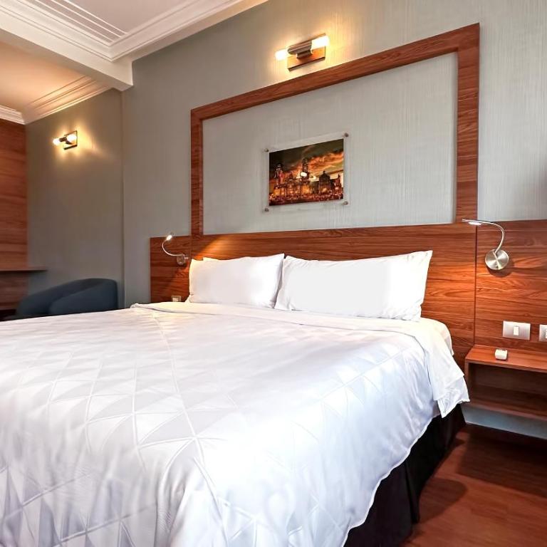 Hotel Ritz Ciudad de México - Junior Suite - 2