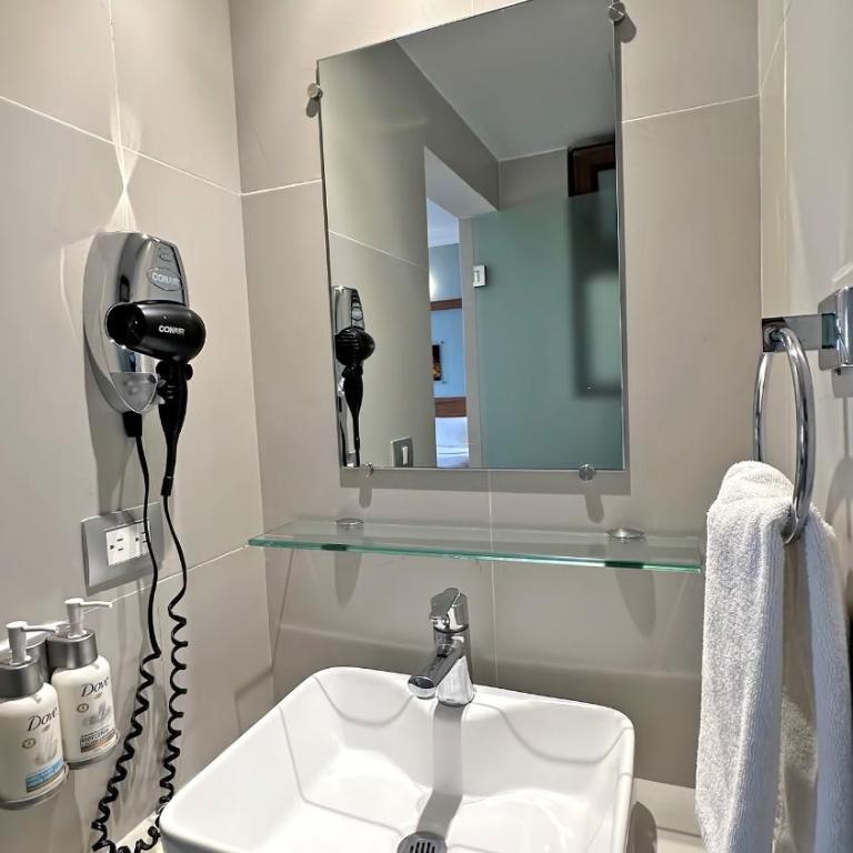 Hotel Ritz Ciudad de México - Standard Double Room - 5